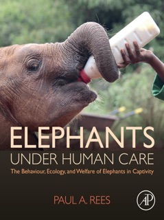 Elephants Under Human Care by Paul A. Rees