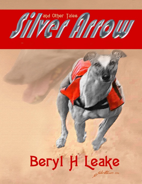 Silver Arrow and Other Tales