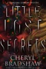 Book Little Lost Secrets