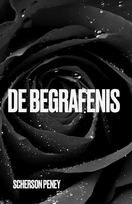 De Begrafenis