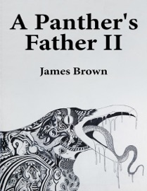 A Panther's Father II - James Brown