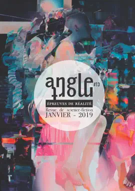 Read: Angle Mort Book numéro 13