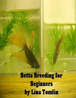 Betta Breeding for Beginners by Lina Tomlin