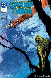 Swamp Thing (1985-1996) #71 - Rick Veitch