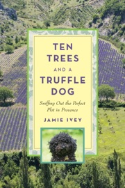 Ten Trees and a Truffle Dog - Jamie Ivey