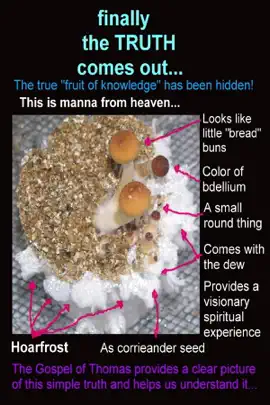 Read: Finally the Truth Comes Book Out...: The True "Fruit of Knowledge" Has Been Hidden!: This Is Manna from Heaven...