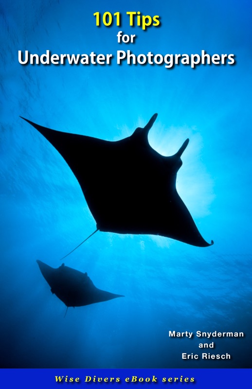 101 Tips for Underwater Photographers