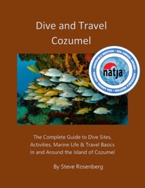 Dive and Travel Cozumel - Steve Rosenberg