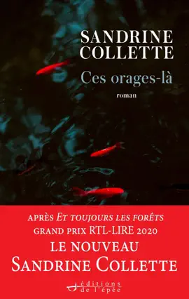 Read: Ces Book Orages-là