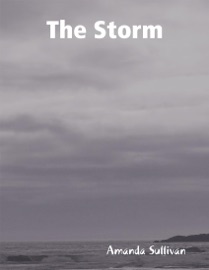 The Storm - Amanda Sullivan
