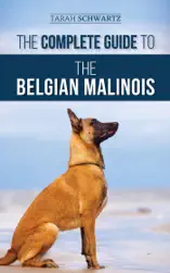 The Complete Guide to the Belgian Malinois: Selecting, Training, Socializing, Working, Feeding, and Loving Your New Malinois Puppy