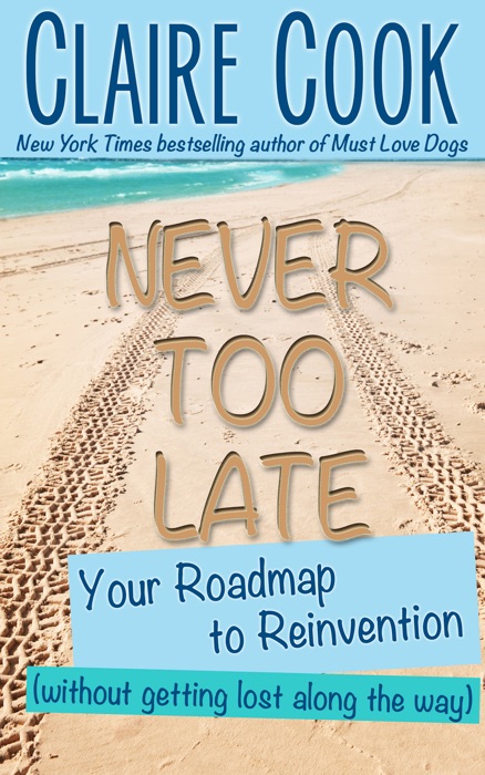 Never Too Late: Your Roadmap to Reinvention (Without Getting Lost Along the Way)