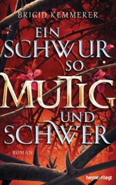 Ein Schwur so mutig und schwer - Brigid Kemmerer