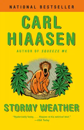 Read: Stormy Book Weather