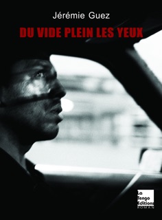 Du vide plein les yeux by Jérémie Guez