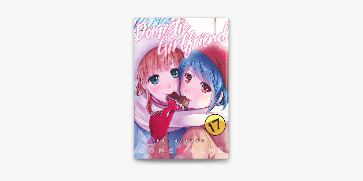 Domestic Girlfriend, Volume 17