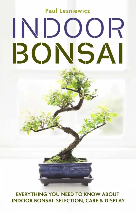 Indoor Bonsai