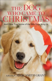 Dog Who Came to Christmas by Callie Grant