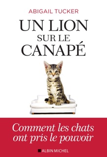 Un lion sur le canapé by Abigail Tucker & Marguerite Capelle