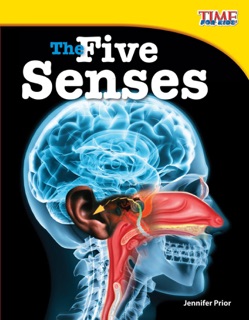 The Five Senses by Jennifer Prior