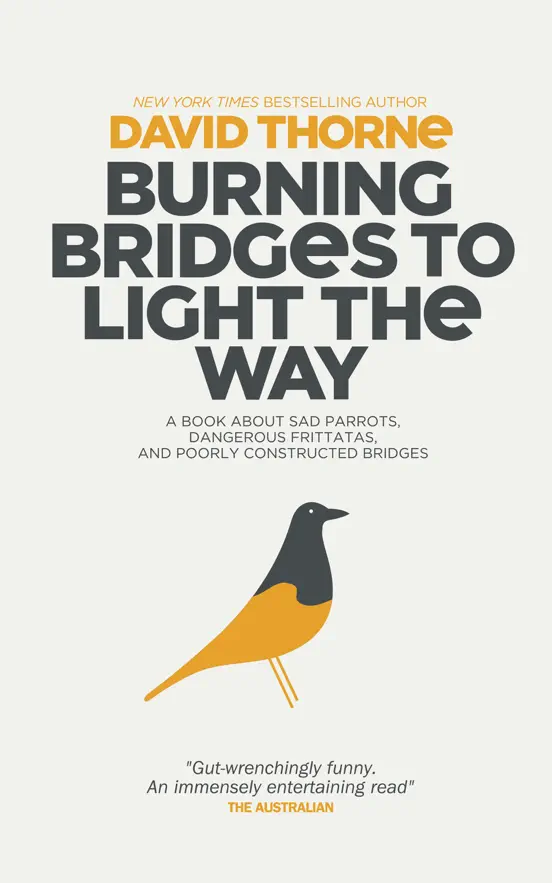 Burning Bridges to Light the Way