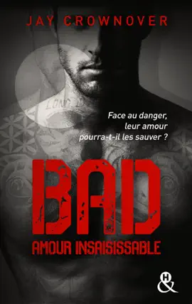 Read: Bad Book - T5 Amour insaisissable