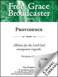 Providence - Benjamin Beddome, David Martyn Lloyd-Jones, Arthur W. Pink, William S. Plumer, Joel Beeke, Thomas Watson, John Flavel & Thomas Shaw B. Reade