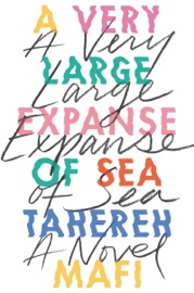 A Very Large Expanse of Sea - Tahereh Mafi