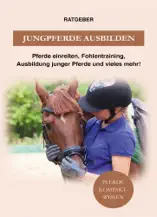 Jungpferde ausbilden