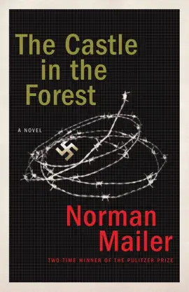 Read: The Castle in Book the Forest