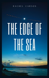 The Edge of the Sea