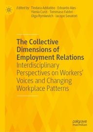 The Collective Dimensions of Employment Relations - Tindara Addabbo, Edoardo Ales, Ylenia Curzi, Tommaso Fabbri, Olga Rymkevich & Iacopo Senatori