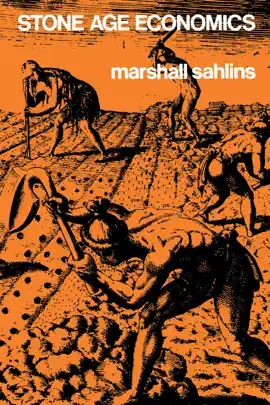 Read: Stone Age Economics Book