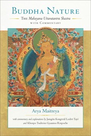 Buddha Nature - Arya Maitreya, Jamgön Kongtrül Lodrö Thayé, Khenpo Tsultrim Gyamtso & Rosemarie Fuchs