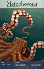 Metaphorosis May 2018 - B. Morris Allen & Metaphorosis Magazine