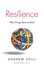 Resilience - Andrew Zolli