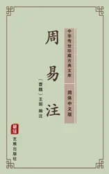 周易注(简体中文版)