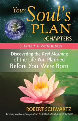 Read: Your Soul's Plan eChapters - Chapter 2: Physical Illness Book