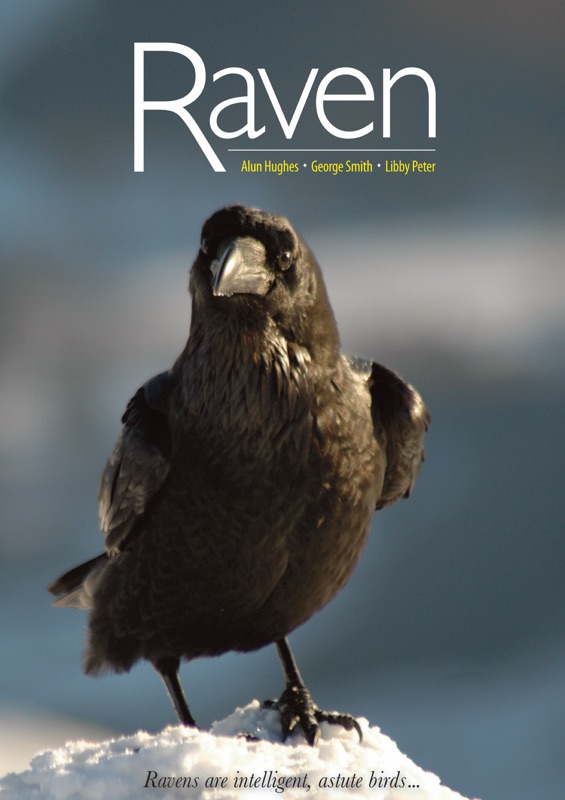 Raven