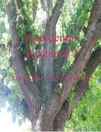 Accidental Accident ? - Rowlen Delaware Vanderstone III