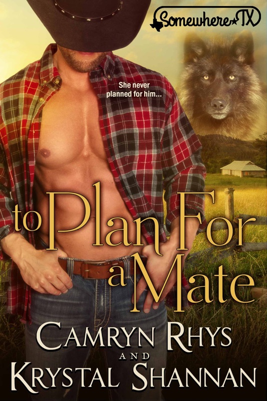 To Plan For A Mate