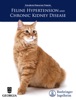 Book Feline Hypertension and Chronic Kidney Disease