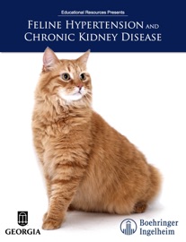 Feline Hypertension and Chronic Kidney Disease - Educational Resources, University of Georgia