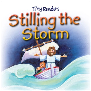 Stilling The Storm by Juliet David