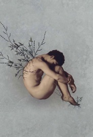 Céu Noturno Crivado De Balas - Ocean Vuong