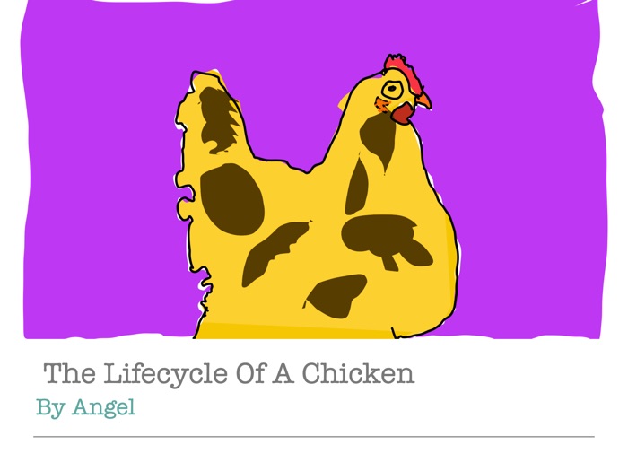 Chicken Life Cycle