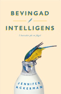 Bevingad intelligens