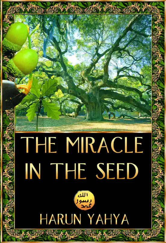 The Miracle in the Seed
