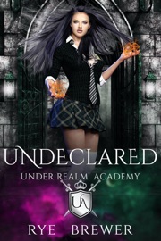 Undeclared - Rye Brewer