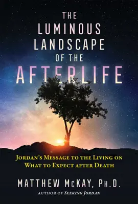 Read: The Luminous Landscape of the Afterlife Book